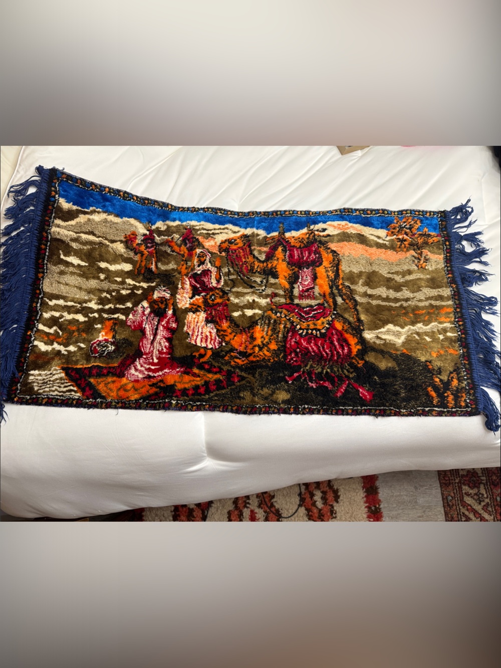 Vintage Handwoven Wall Hanging Rug in Multicolor